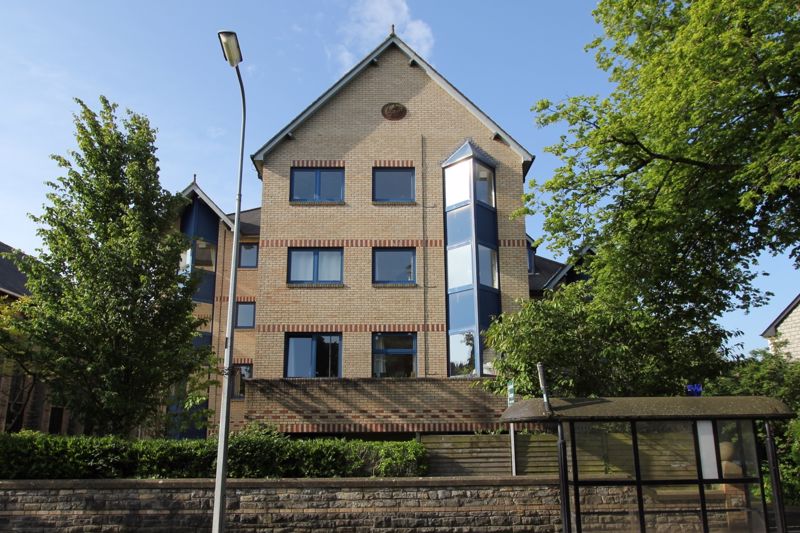 Main Image